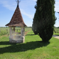 Les vignes du Château la Jaubertie