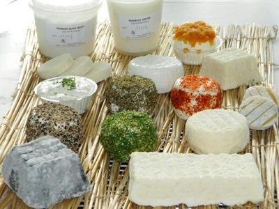 La Ferme Bonnamy – fromages de chèvre à Grignols