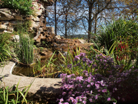 De la couleur dans les jardins de Limeuil